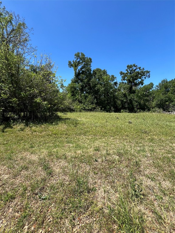 131 Hidden Horse Trail Angleton, TX 77515 - Photo 7 of 14 a view of a green field with lots of bushes