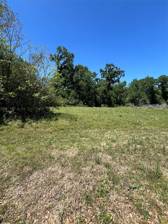 131 Hidden Horse Trail Angleton, TX 77515 - Photo 8 of 14 a view of outdoor space and yard