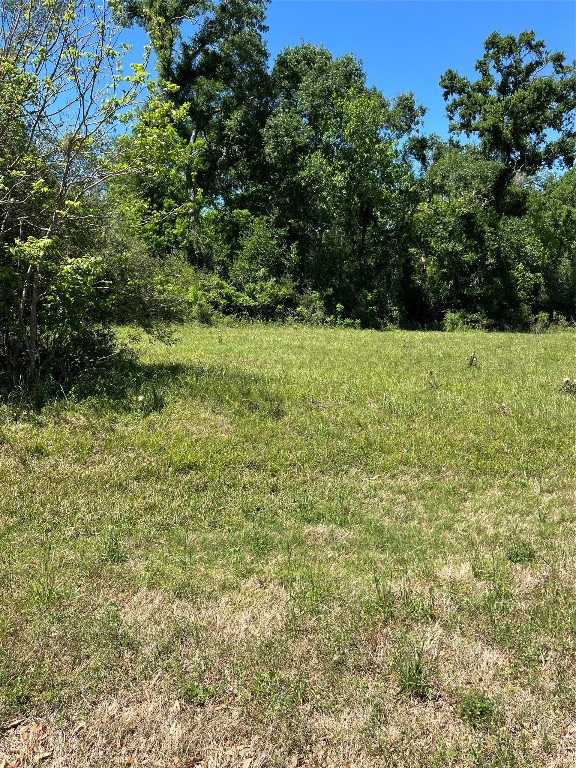 131 Hidden Horse Trail Angleton, TX 77515 - Photo 9 of 14 a view of yard with green space
