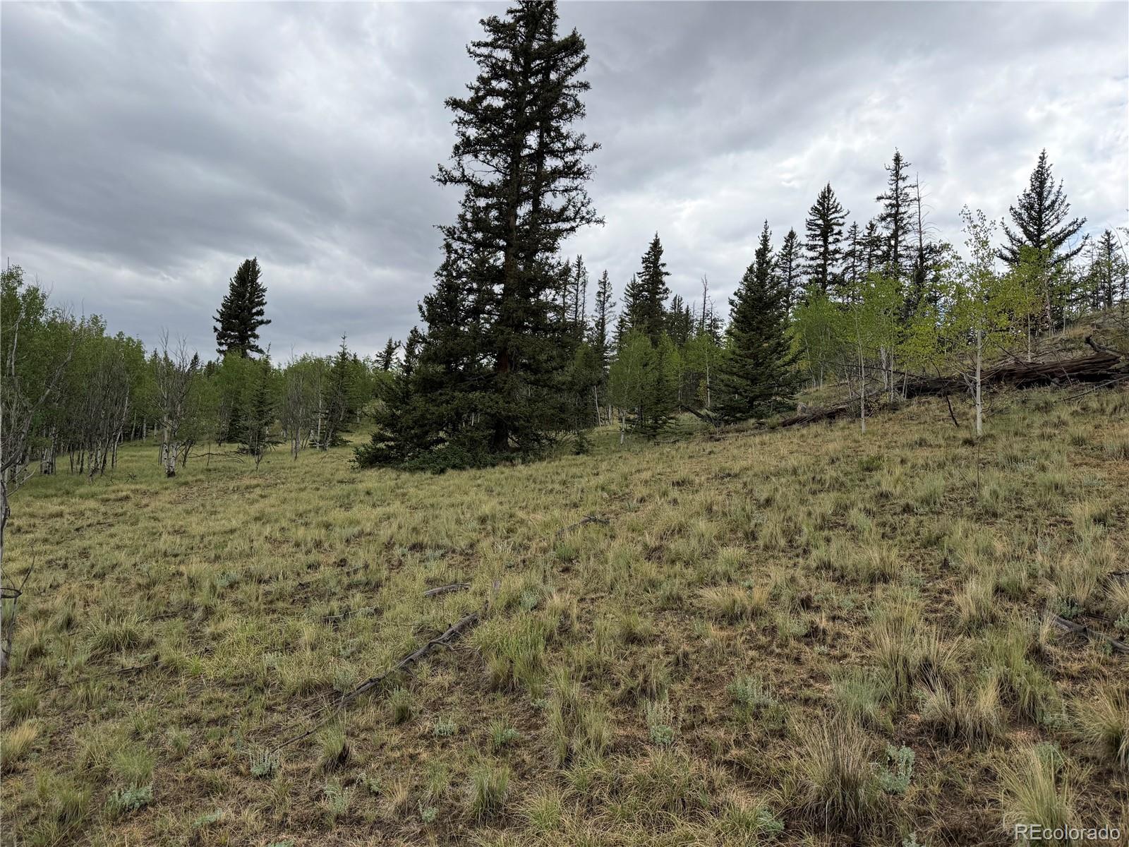 383 Spearpoint Road Como, CO 80432 - Photo 4 of 11 Gallery Image 4