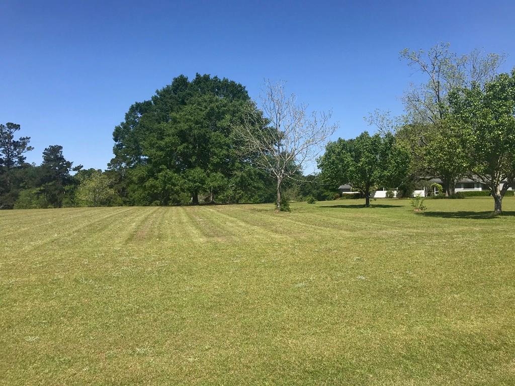 0 South Co Road Ashford, AL 36312 - Photo 1 of 7 Main View