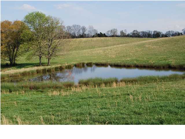 6860 Sam Smith Road Birchwood, TN 37308 - Photo 3 of 3 Additional Photo