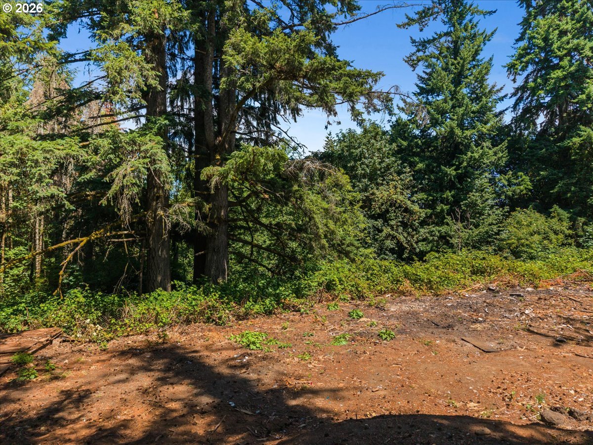 20802 Northwest Pumpkin Ridge Road North Plains, OR 97133 - Photo 12 of 18