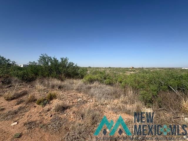 48 State Road 203 Fort Sumner, NM 88119 - Photo 3 of 17 Gallery Image 3