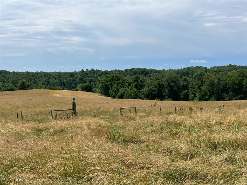 45559 Old Hopedale Road Cadiz, OH 43907 - Photo 19 of 26 View of wooded area with a rural view