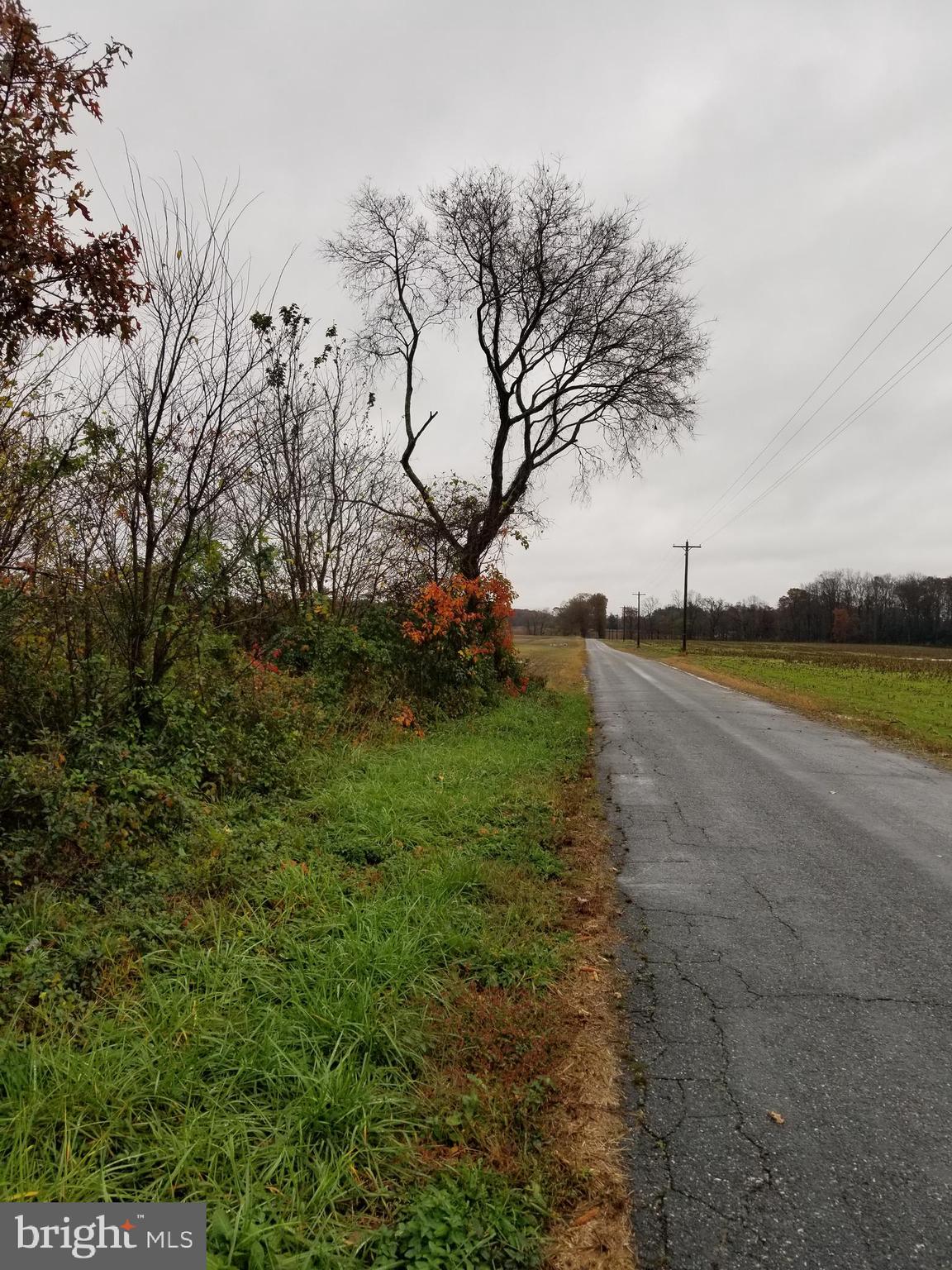 0 Beverly Run Road Bowling Green, VA 22427 - Photo 3 of 20 Gallery Image 3