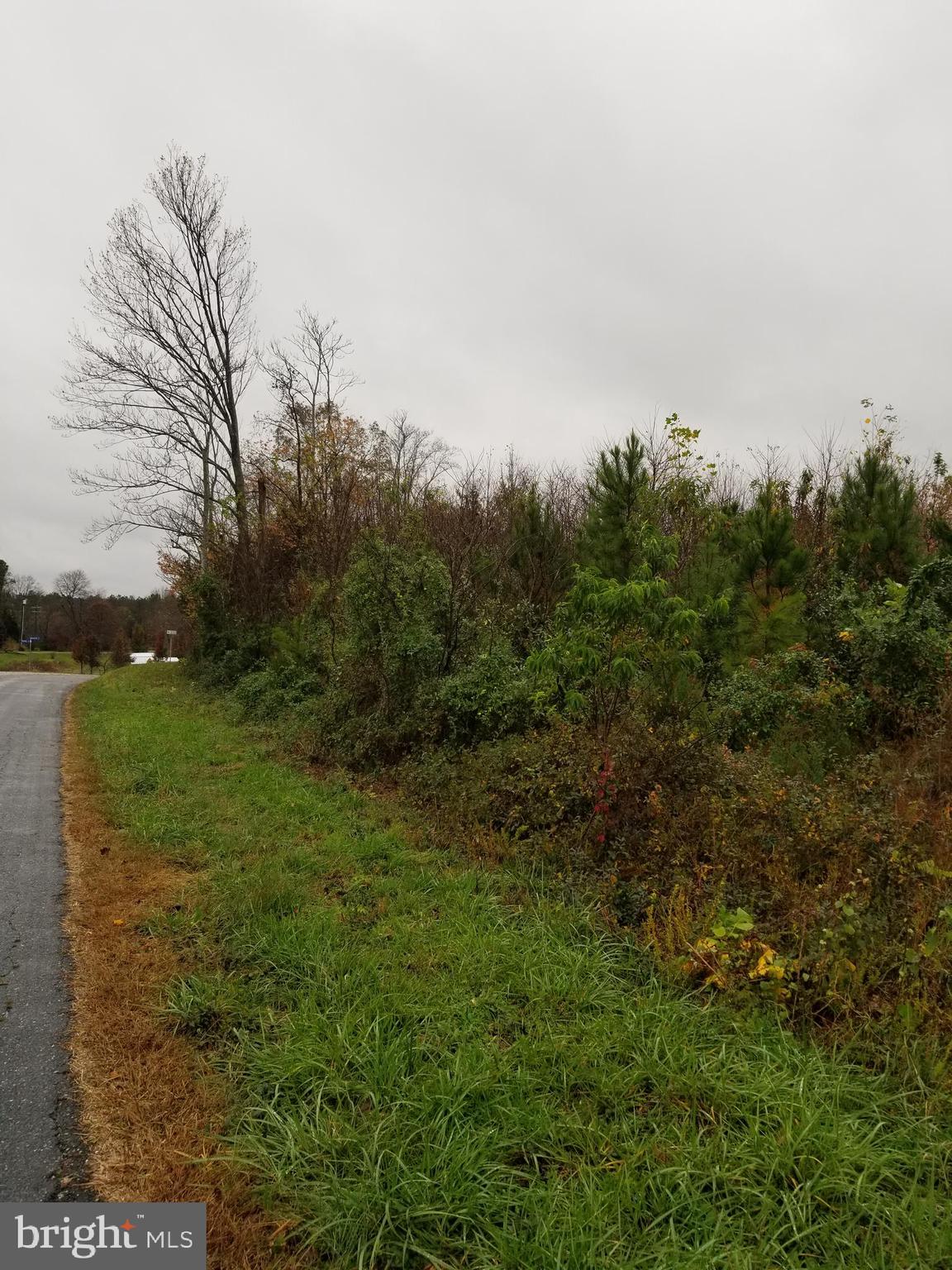 0 Beverly Run Road Bowling Green, VA 22427 - Photo 5 of 20 Gallery Image 5