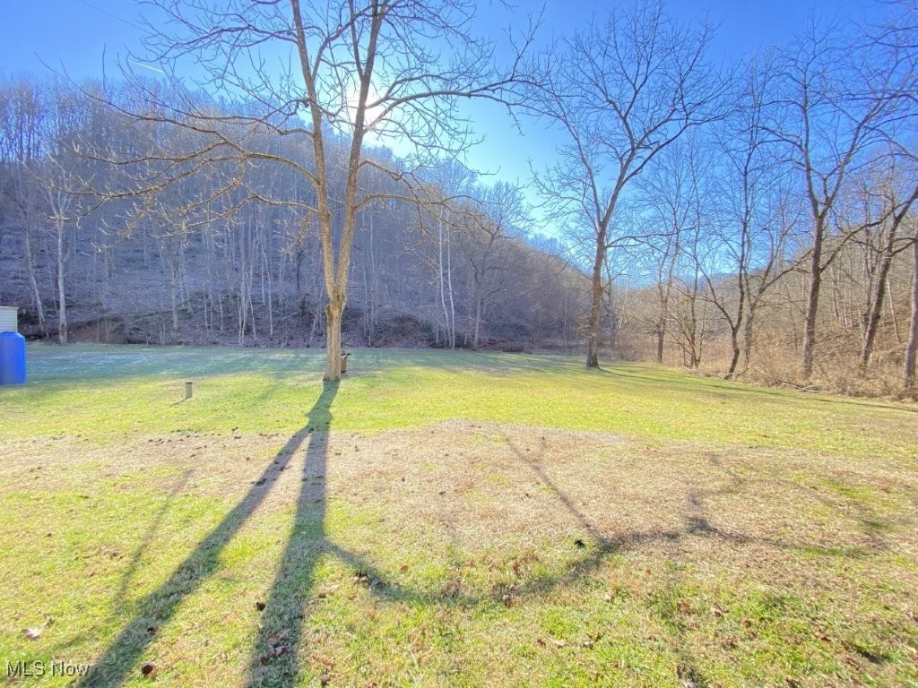 88 Ivy Road Walton, WV 25286 - Photo 23 of 37