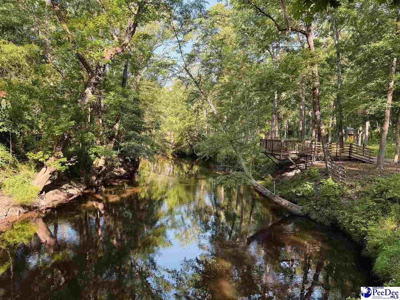 60-acres West Freight Road Florence, SC 29501 - Photo 4 of 27 Gallery Image 4