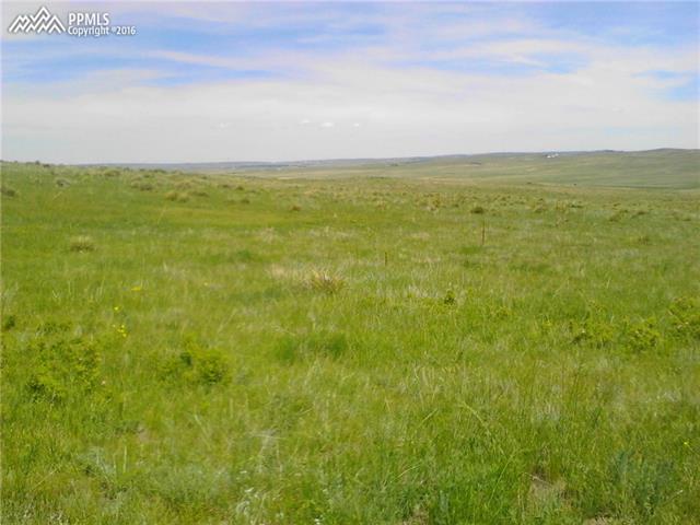 22345 Roxie Ridge View Peyton, CO 80831 - Photo 2 of 6