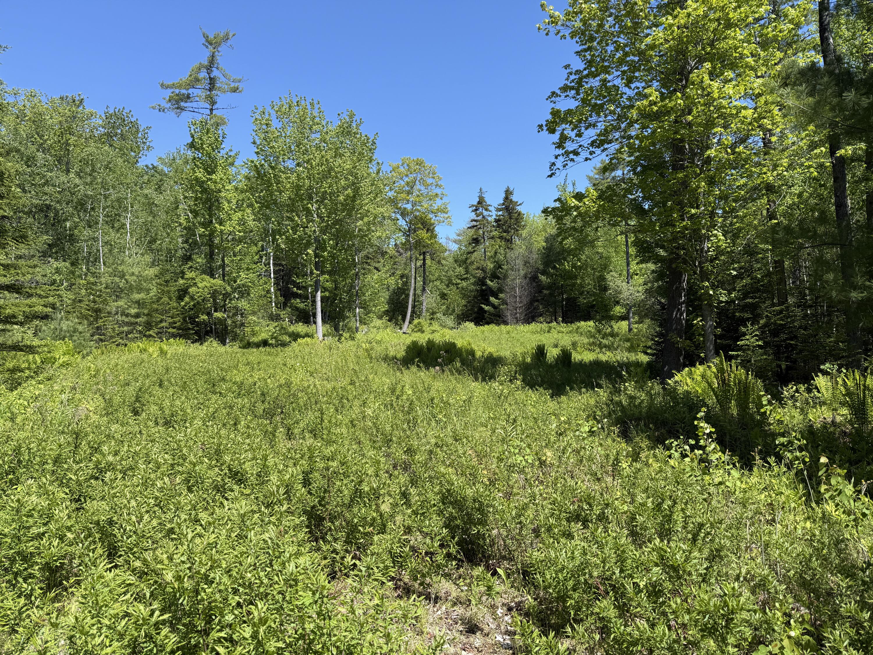 20 Map Street South Thomaston, ME 04858 - Photo 2 of 17 IMG_4028