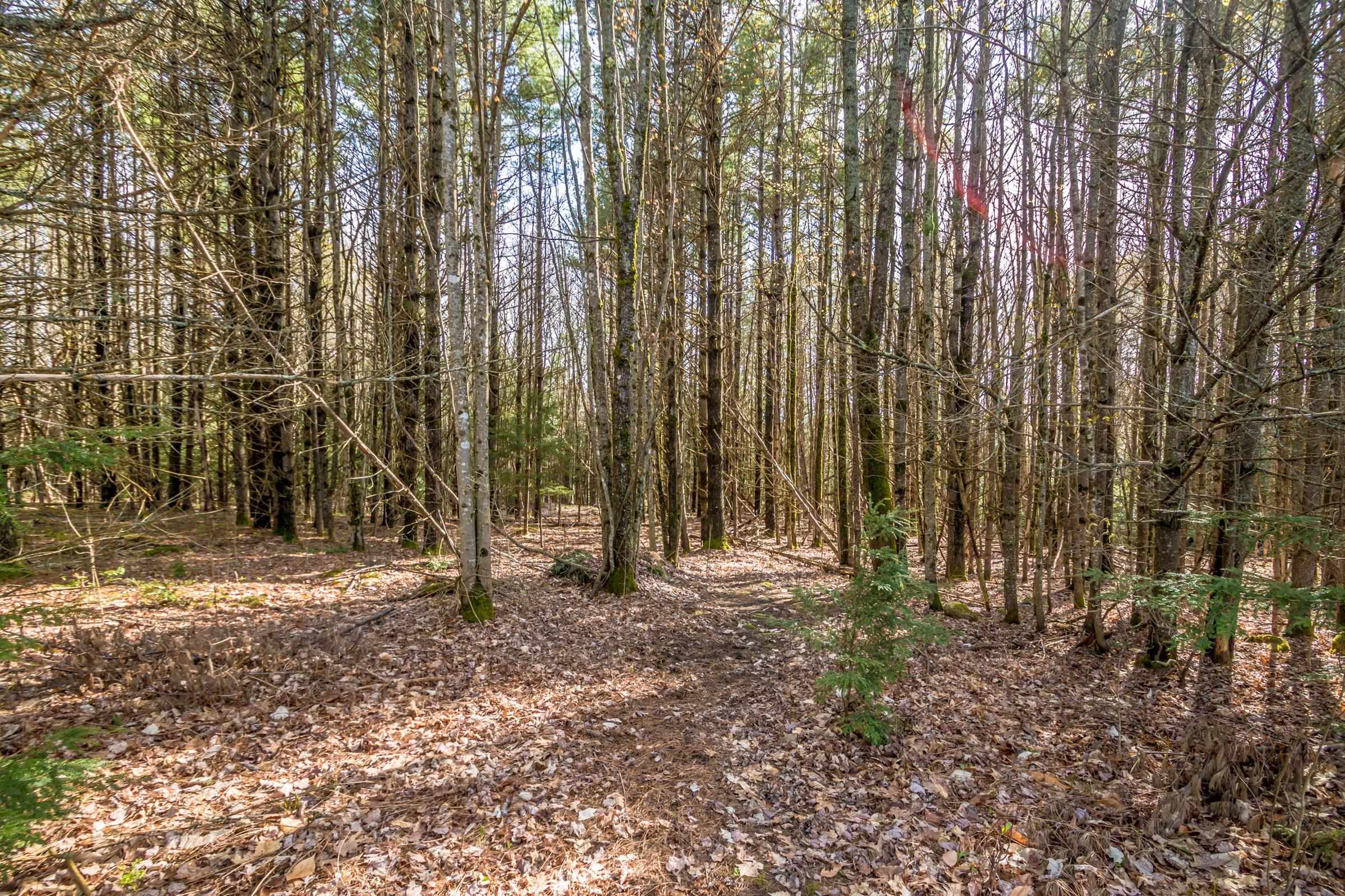 39 Berry Road Harrison, ME 04040 - Photo 12 of 23