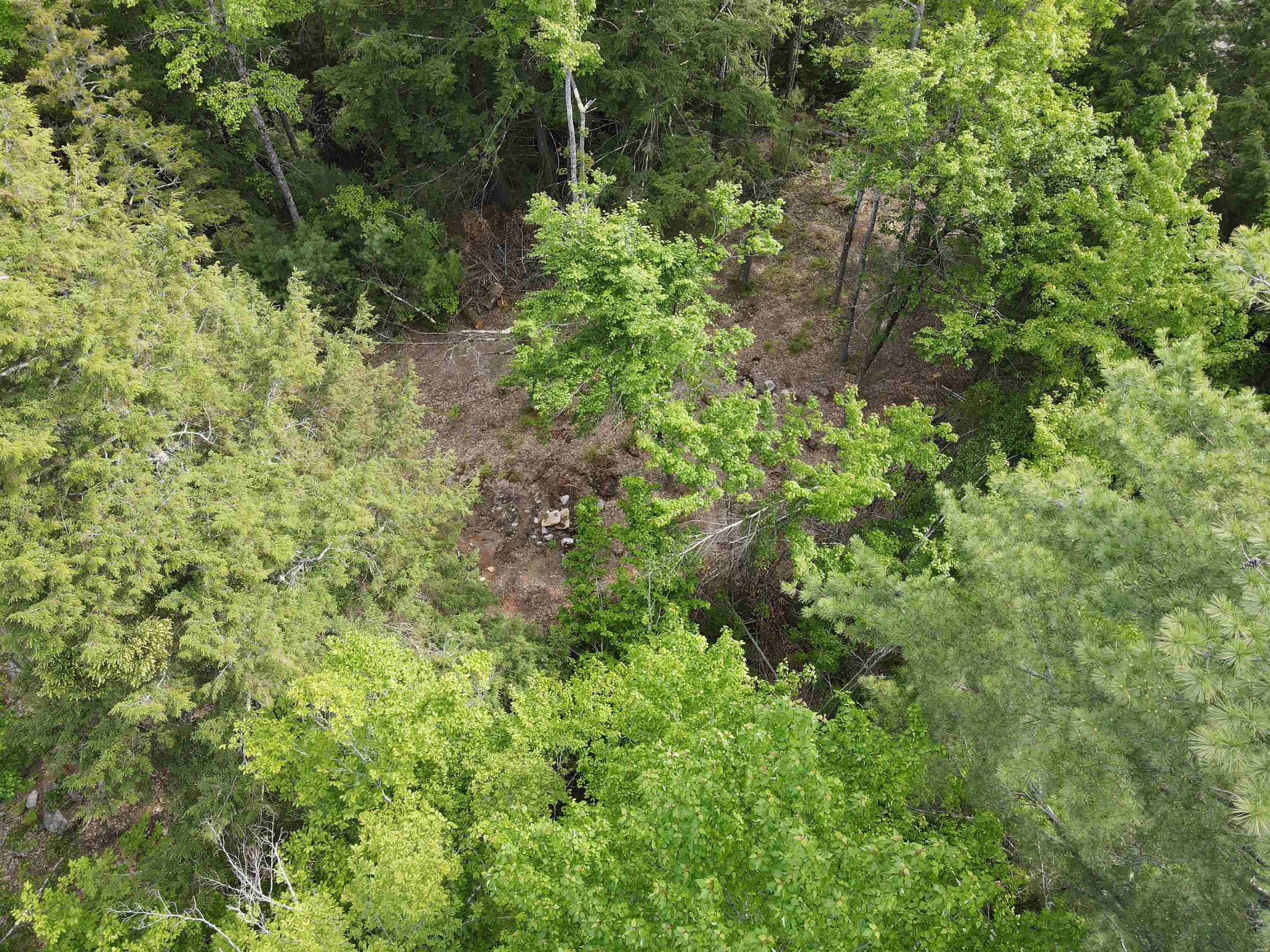 15 Adams Way Middleton, NH 03887 - Photo 5 of 10