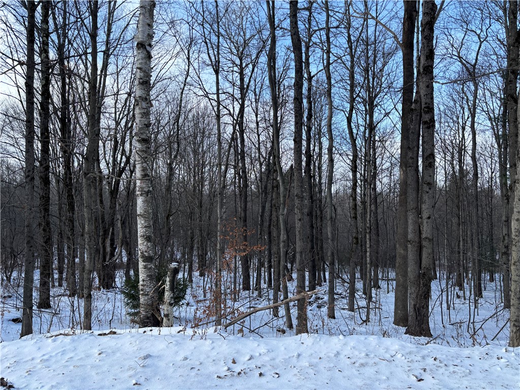 Smokey Avenue Schenevus, NY 12155 - Photo 1 of 1