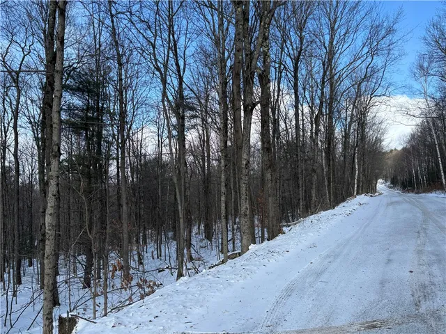 $119,000 | Smokey Avenue, Schenevus, NY 12155
