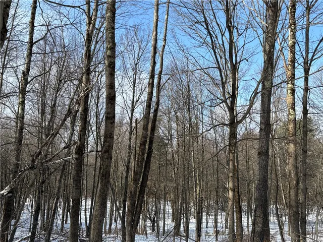 $119,000 | Smokey Avenue, Schenevus, NY 12155