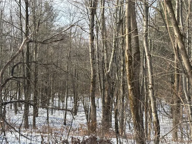 $119,000 | Smokey Avenue, Schenevus, NY 12155