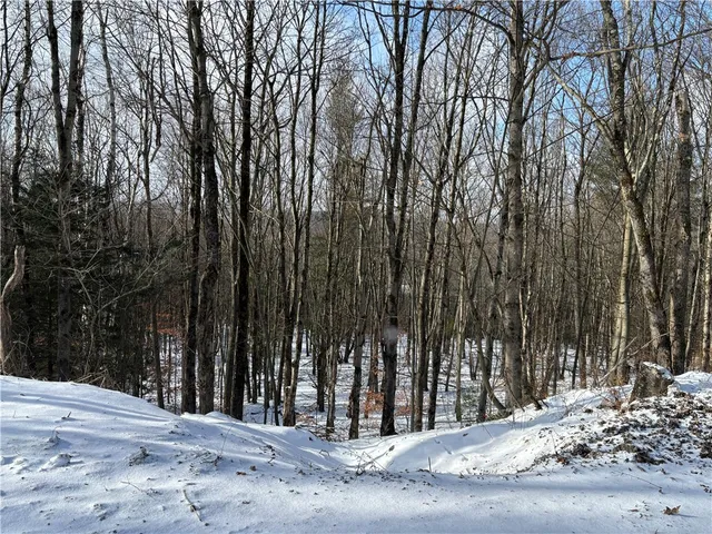 $119,000 | Smokey Avenue, Schenevus, NY 12155