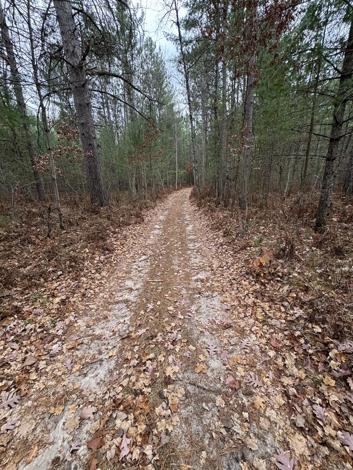 Vl Riverview Road Southeast Kalkaska, MI 49646 - Photo 25 of 40
