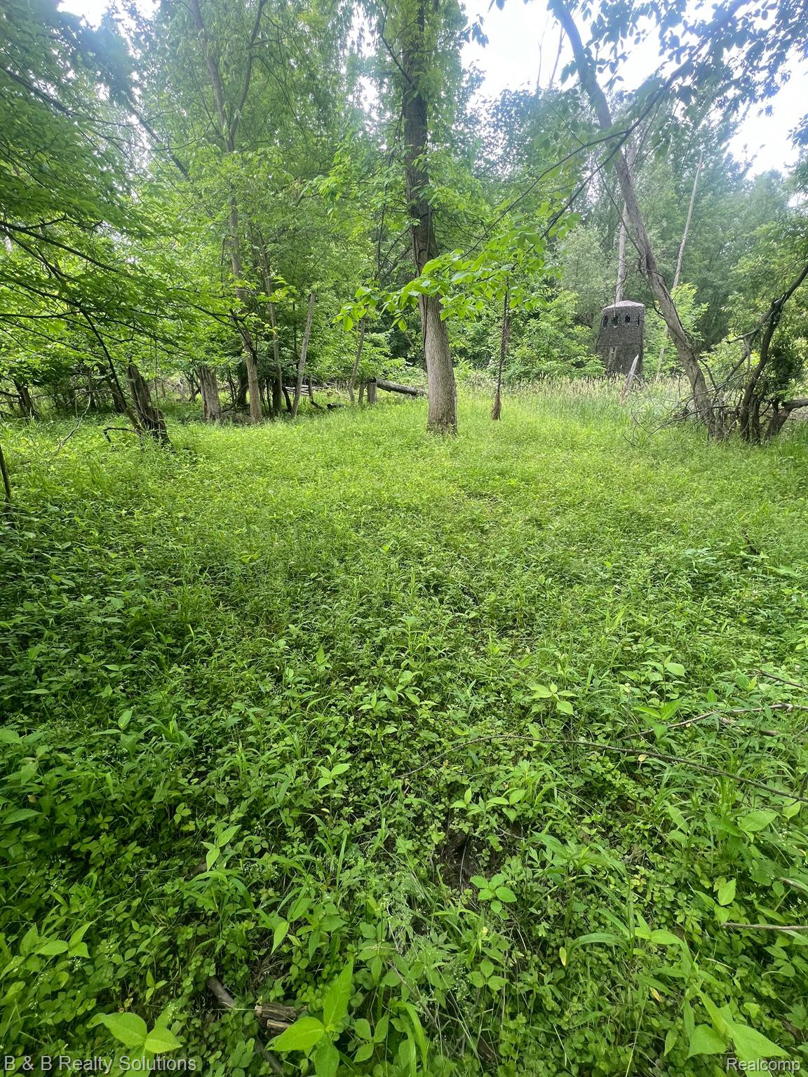 0 Ducker Road North Branch, MI 48461 - Photo 13 of 44 Gallery Image 13
