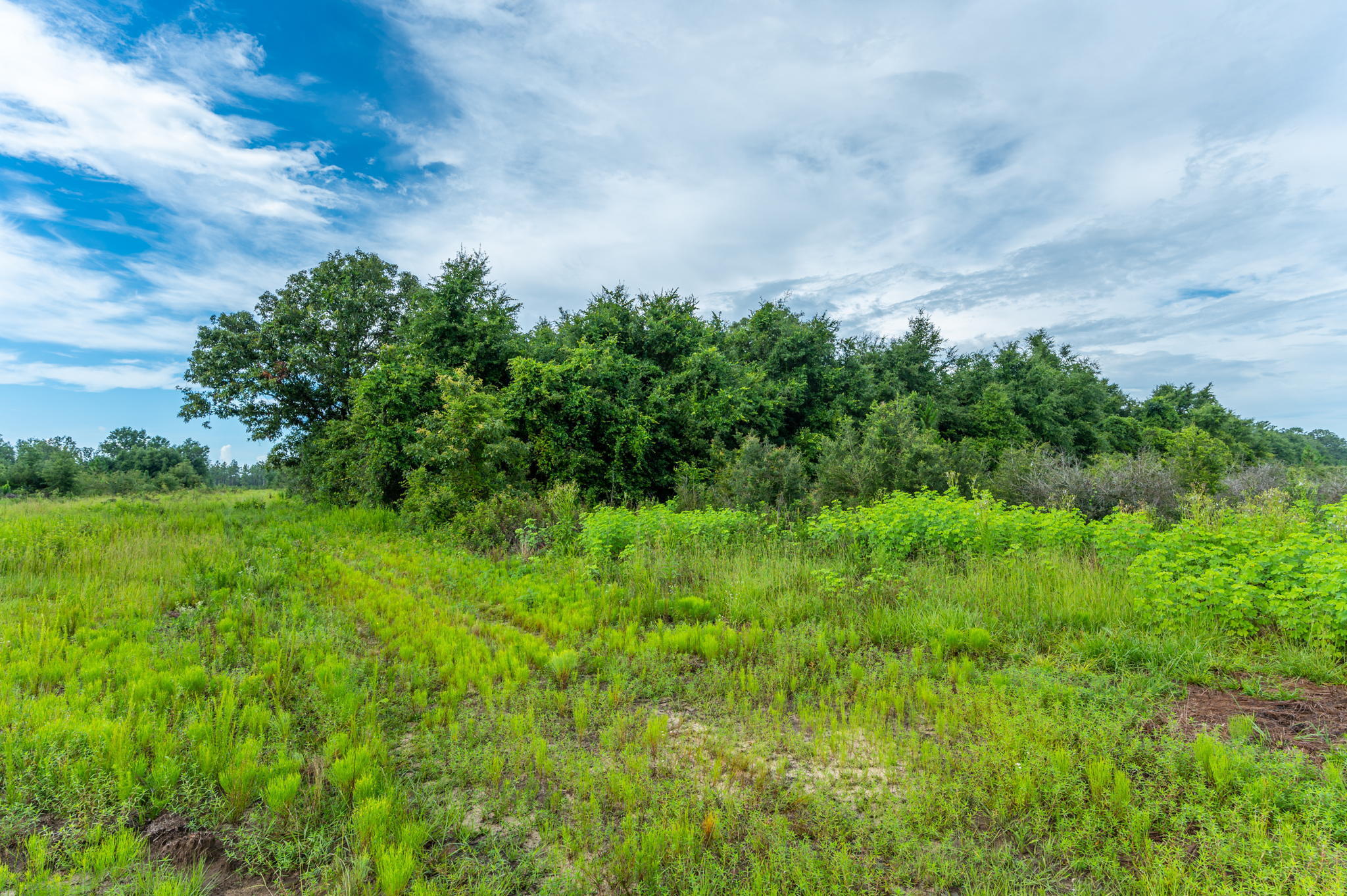 A-4 Old River Road Baker, FL 32531 - Photo 11 of 15 a backyard of a house with lots of green space