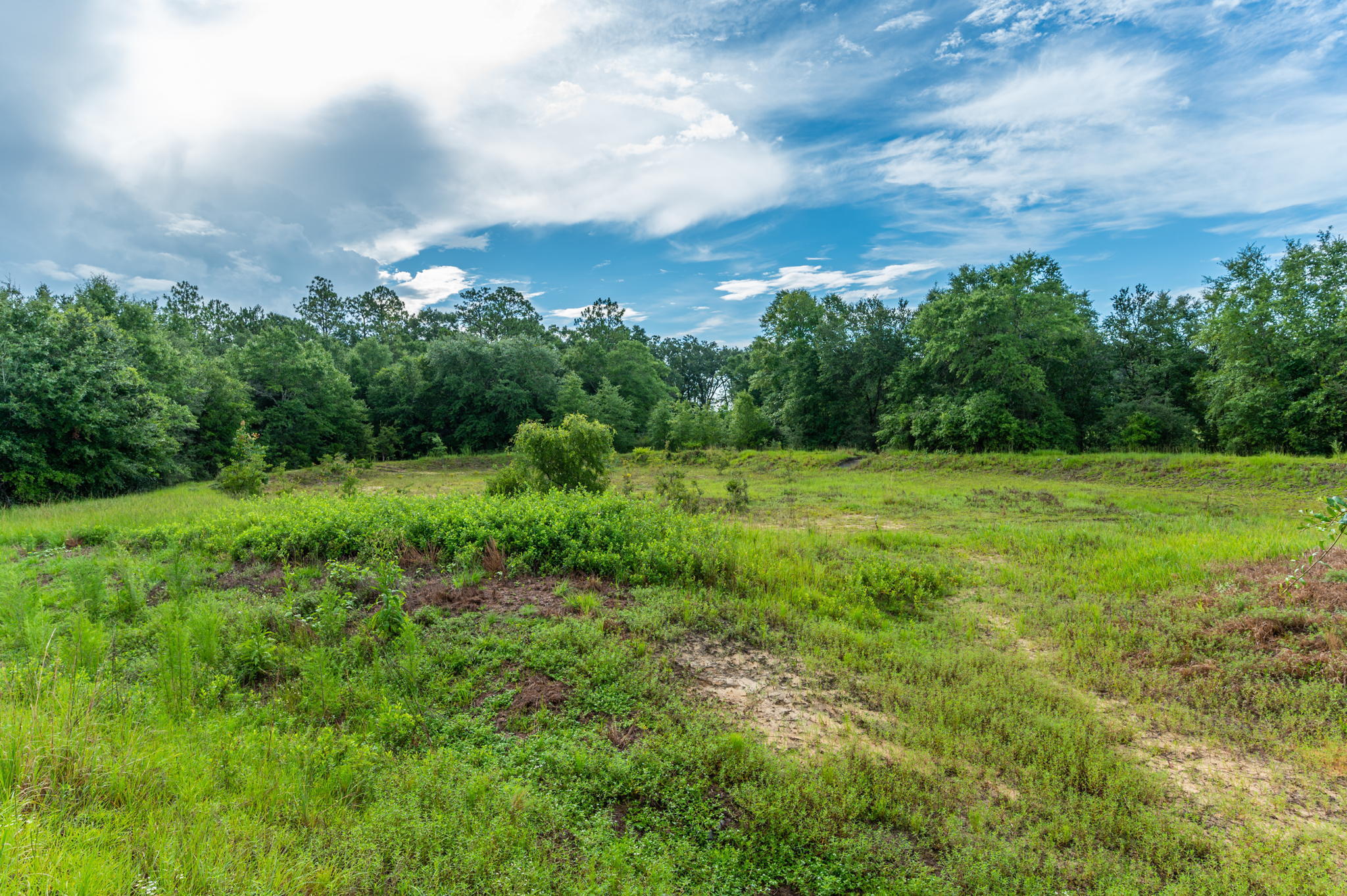 A-4 Old River Road Baker, FL 32531 - Photo 12 of 15 a view of a grassy field