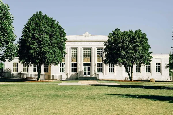 a view of a yard with plants and trees