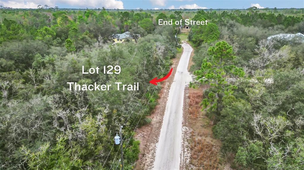 Thacker Trail Kissimmee, FL 34747 - Photo 3 of 11