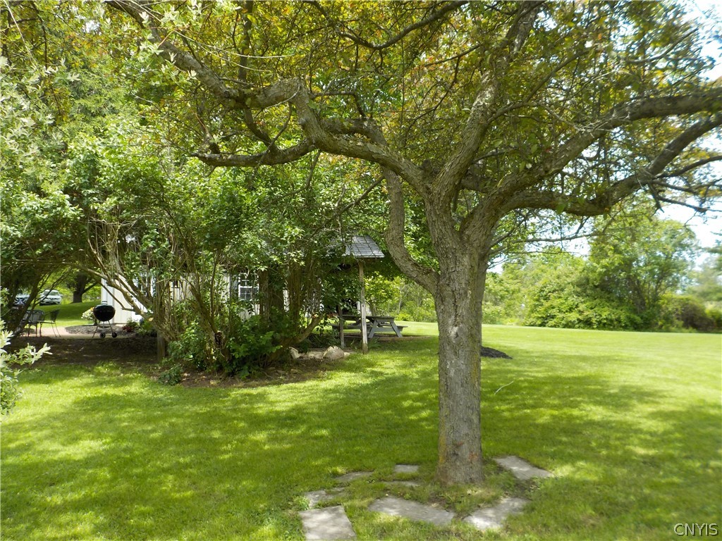 11100 Duck Lake Road Conquest, NY 13143 - Photo 11 of 47