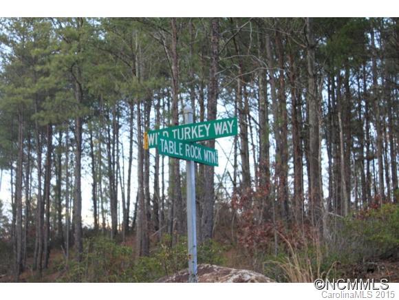 10.20-ac Table Rock Road Morganton, NC 28655 - Photo 3 of 3 Gallery Image 3