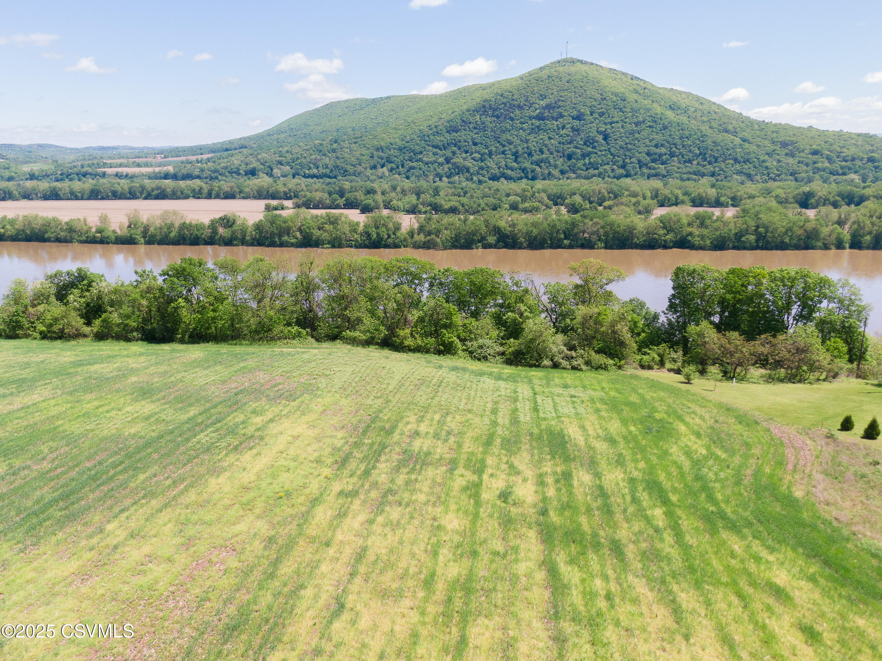 Roosters Rd Port Port Trevorton, PA 17864 - Photo 7 of 23