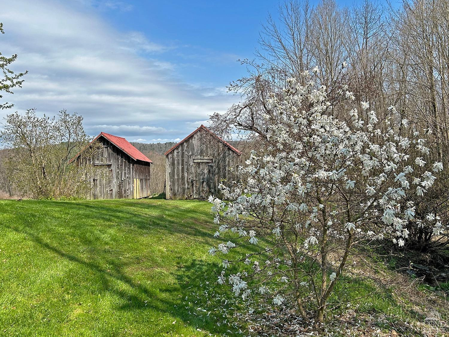 2216 County Rte 5 Canaan, NY 12029 - Photo 19 of 28 a house is sitting in middle od the grass