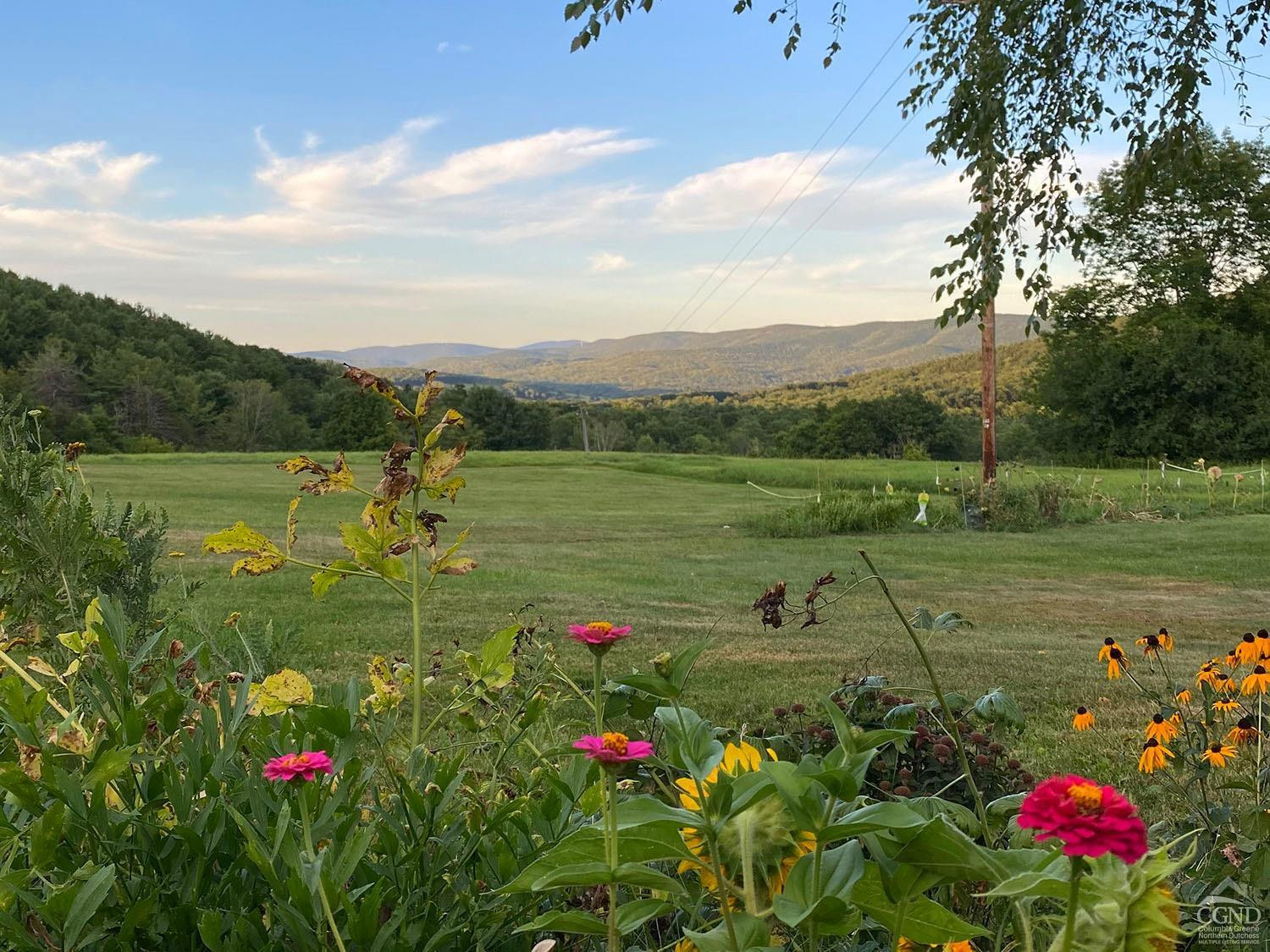 2216 County Rte 5 Canaan, NY 12029 - Photo 23 of 28 a view of a lake with a yard
