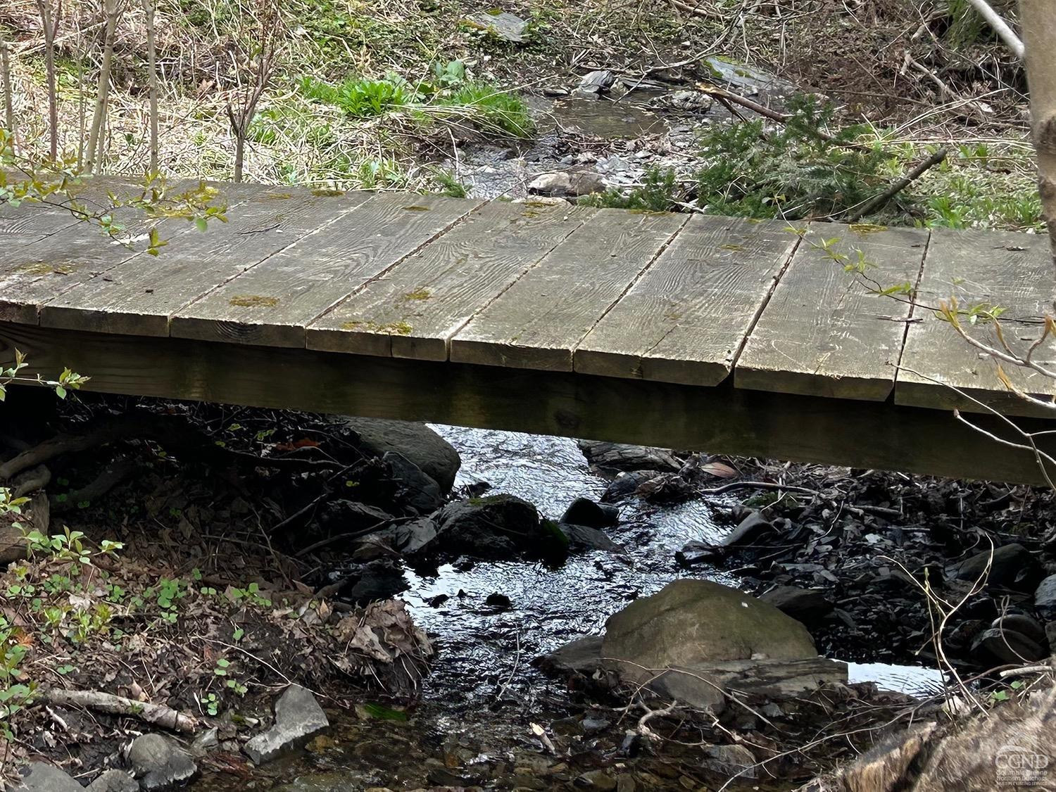 2216 County Rte 5 Canaan, NY 12029 - Photo 25 of 28 a view of outdoor space and swimming pool