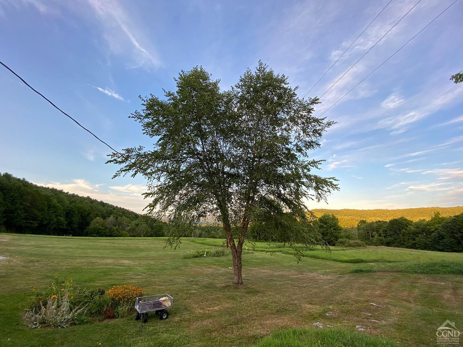 2216 County Rte 5 Canaan, NY 12029 - Photo 27 of 28 a view of a field with sitting area