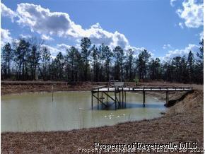 2255 Overhills Road Bunnlevel, NC 28323 - Photo 4 of 10 Gallery Image 4