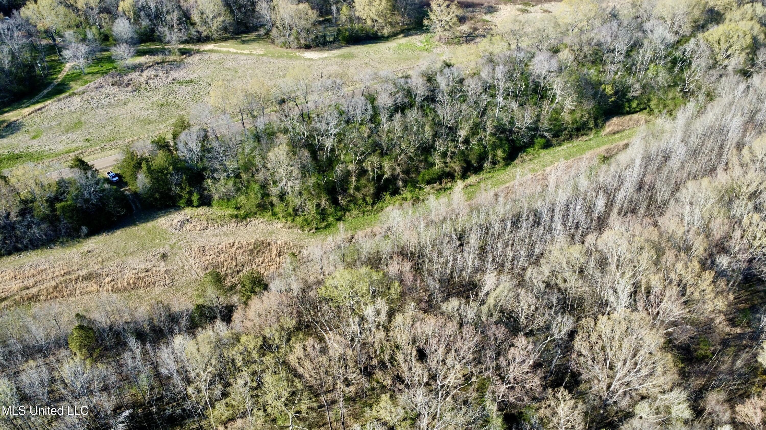 1263 North Ratliff Road Jackson, MS 39209 - Photo 2 of 7 dji_fly_20250321_165958_216_174259441516