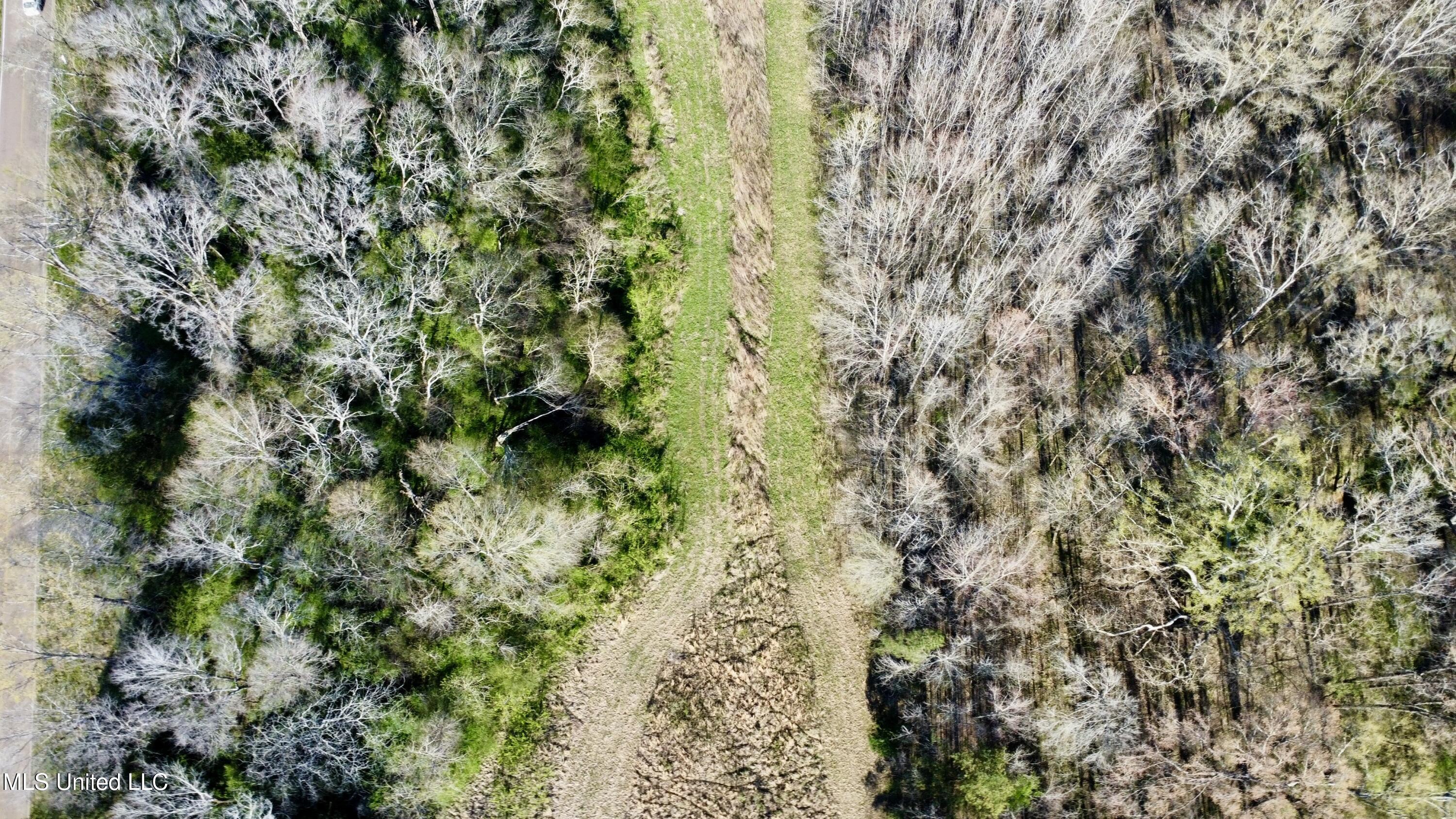 1263 North Ratliff Road Jackson, MS 39209 - Photo 3 of 7 dji_fly_20250321_165924_215_174259441840