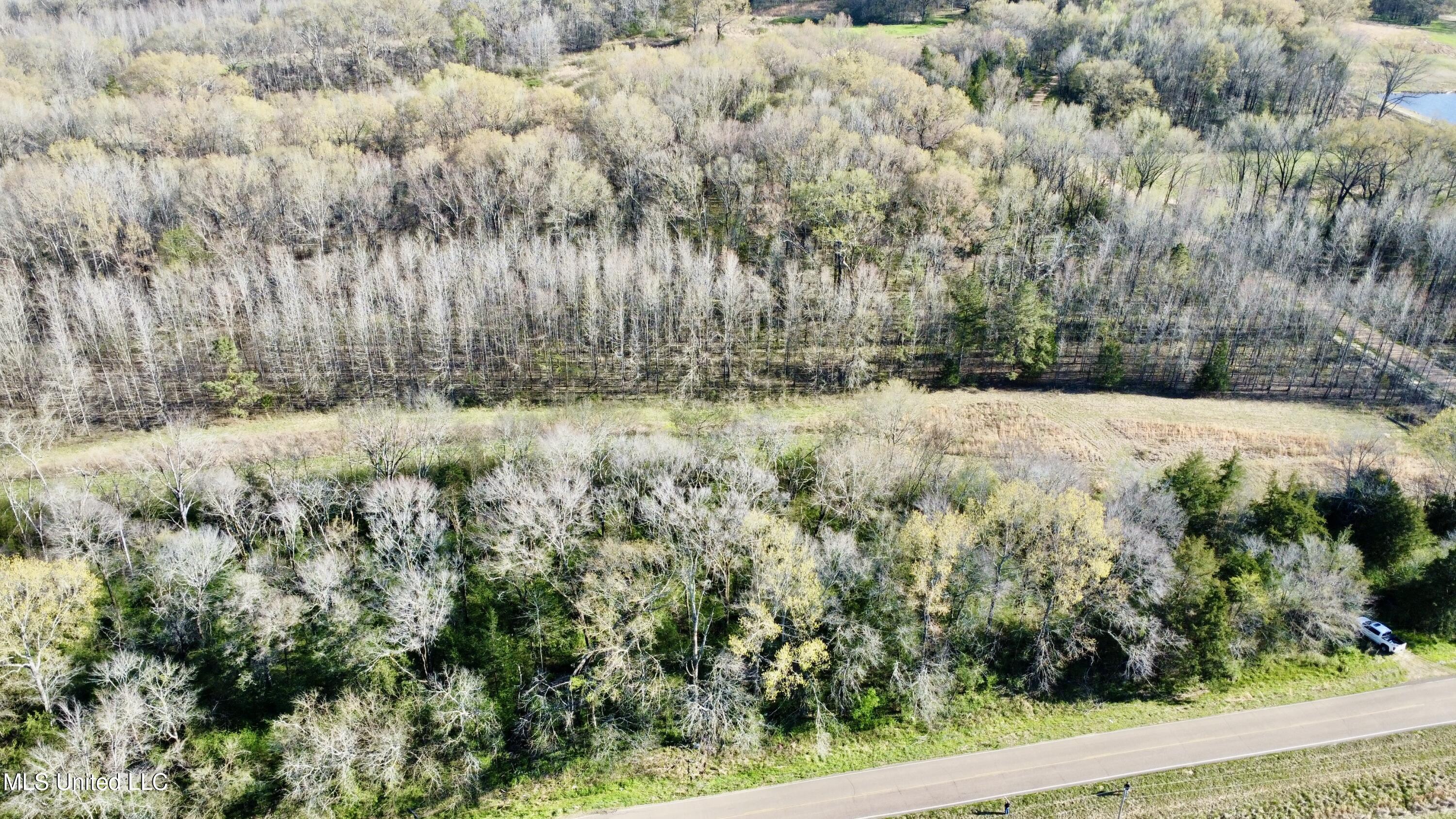 1263 North Ratliff Road Jackson, MS 39209 - Photo 4 of 7 dji_fly_20250321_165822_213_174259438425