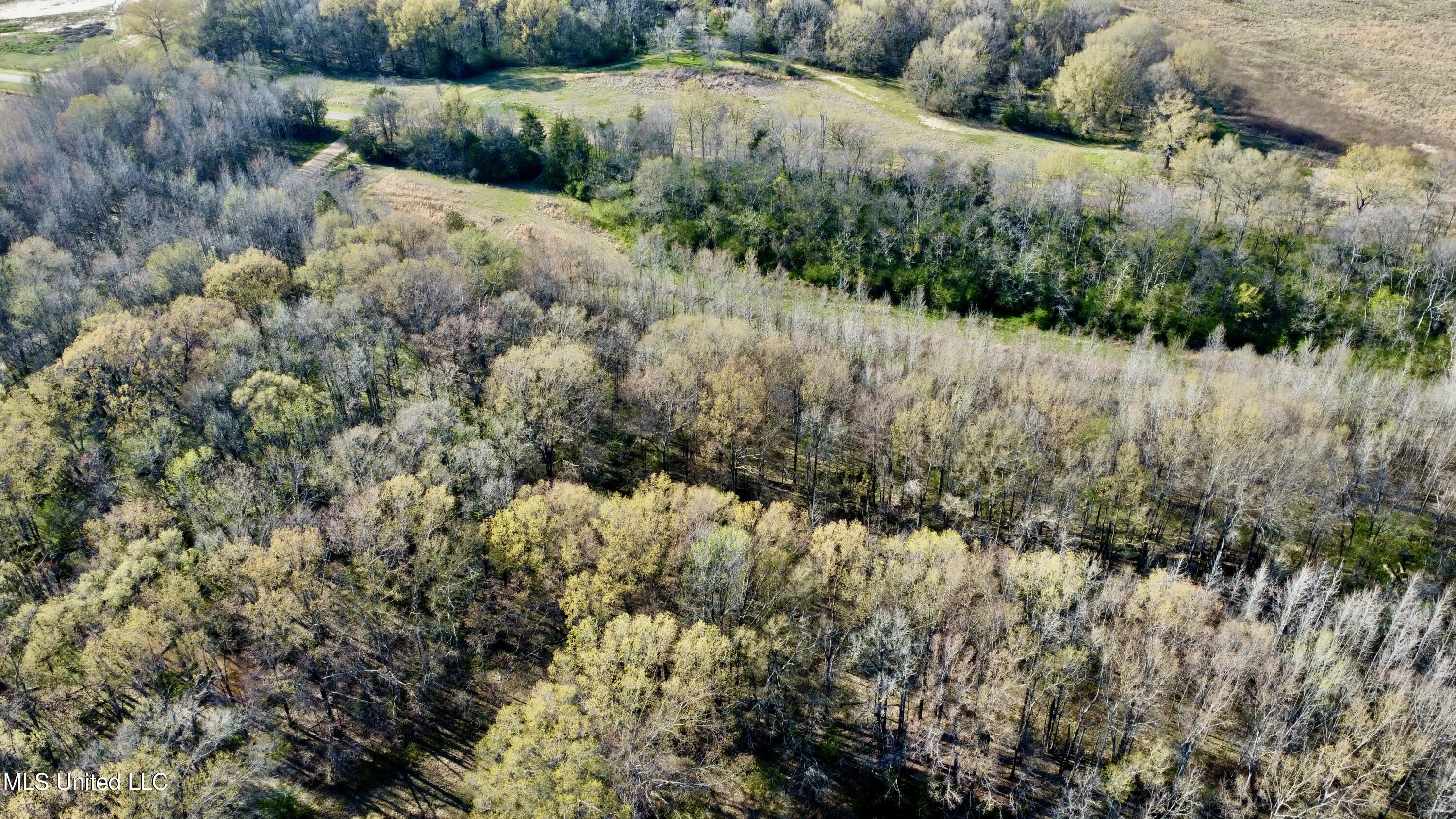 1263 North Ratliff Road Jackson, MS 39209 - Photo 7 of 7 dji_fly_20250321_170034_217_174259445252