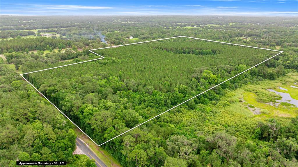 Tbd Northwest 160th Street Reddick, FL 32686 - Photo 1 of 1 a view of a balcony with a lush green forest