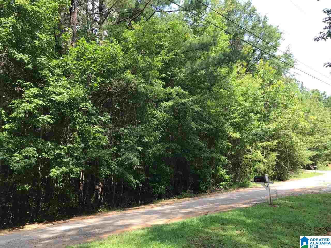 Lot 13 Double Gate Estates, Unit 13 Duncanville, AL 35456 - Photo 1 of 2