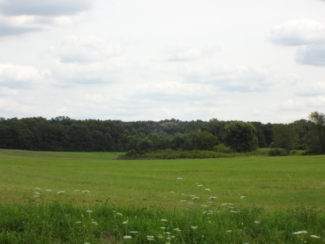 13.62-ac Voss Road Marengo, IL 60152 - Photo 7 of 24