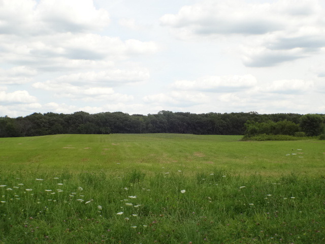 13.62-ac Voss Road Marengo, IL 60152 - Photo 8 of 24