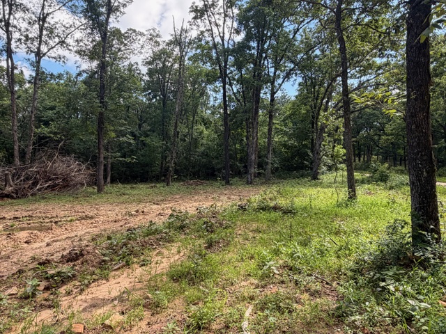 Tbd Freedom Road Winslow, AR 72959 - Photo 2 of 14 Gallery Image 2