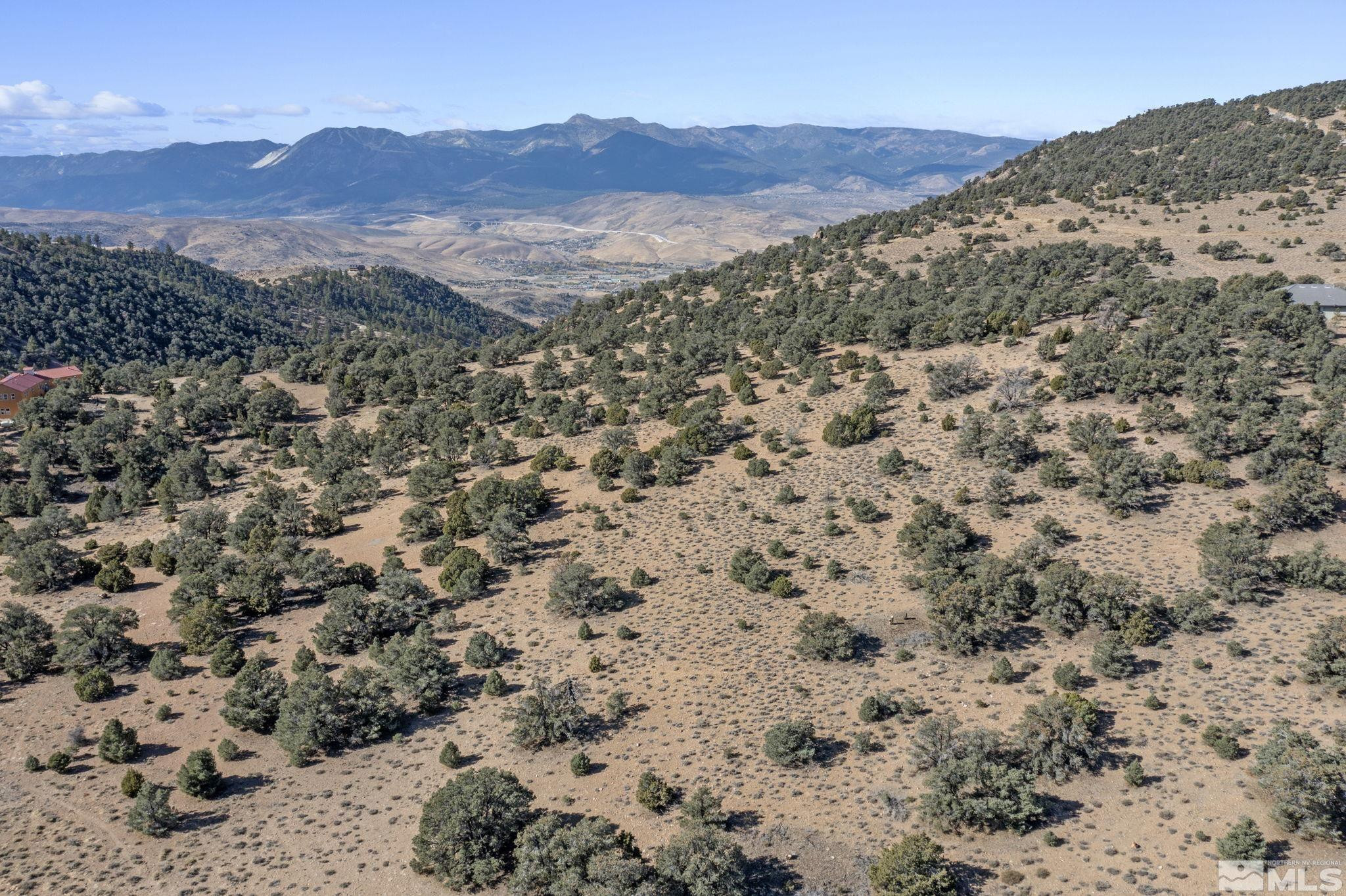 740 Cartwright Road Reno, NV 89521 - Photo 4 of 12 a view of a mountain range with trees in the background