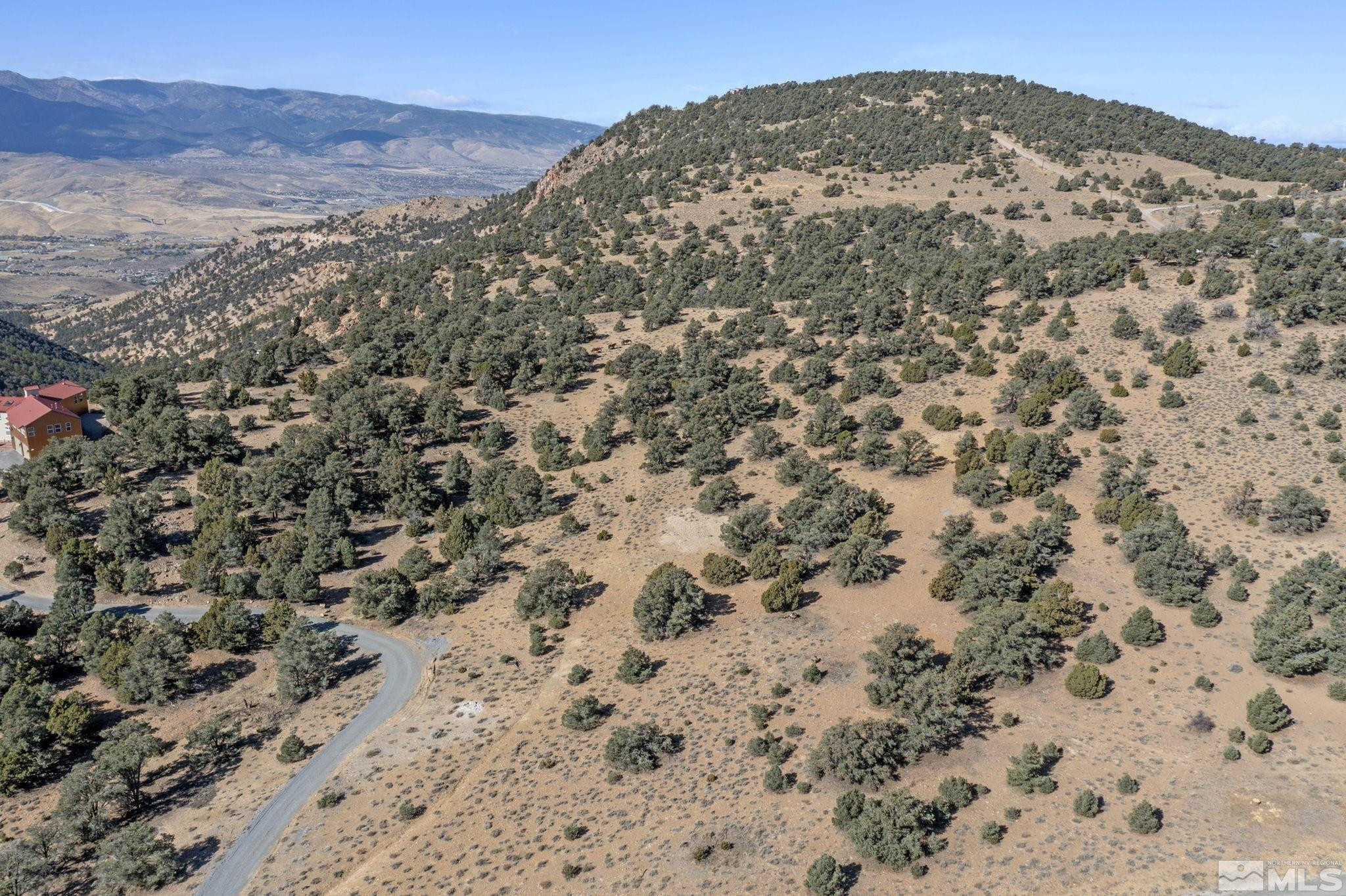 740 Cartwright Road Reno, NV 89521 - Photo 6 of 12 a view of a mountain in the distance in a field