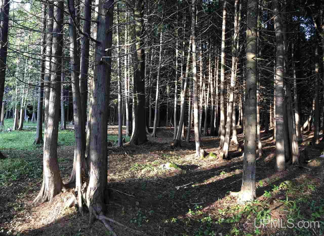 52798 South Cloverland Road Calumet, MI 49913 - Photo 15 of 32