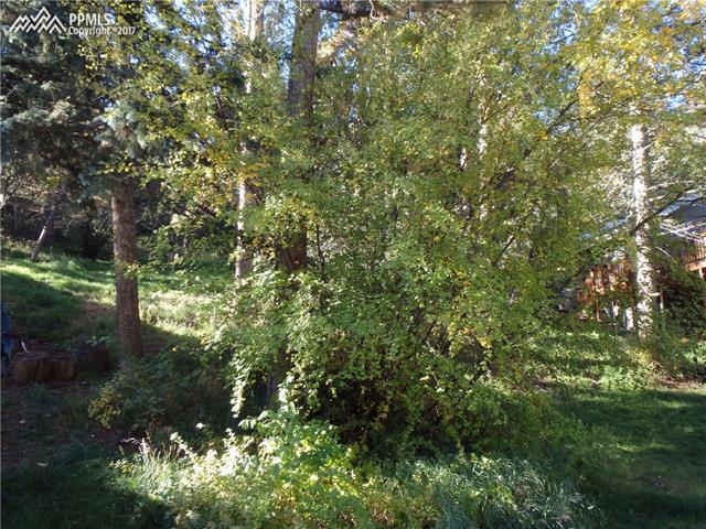 9345 Ute Road Cascade, CO 80809 - Photo 11 of 12