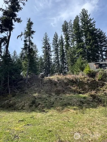 a view of a yard with a tree